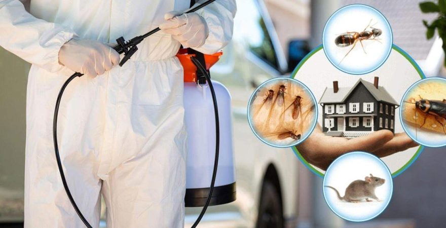 Demirköprü Böcek İlaçlama