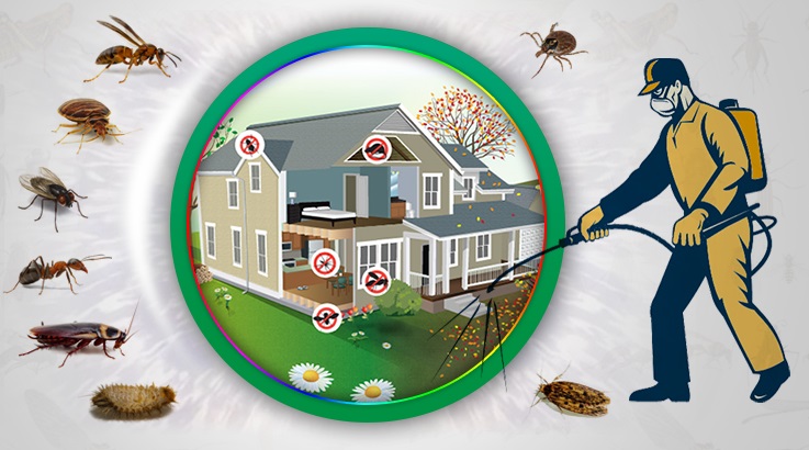 Demirköprü Böcek İlaçlama