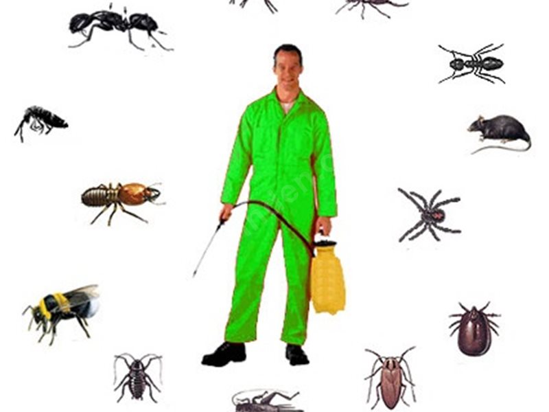 Demirköprü Böcek İlaçlama